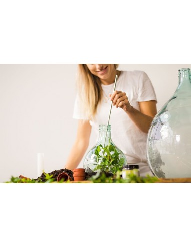 Bouteille terrarium 35L set Esschert Design Vase et verrie