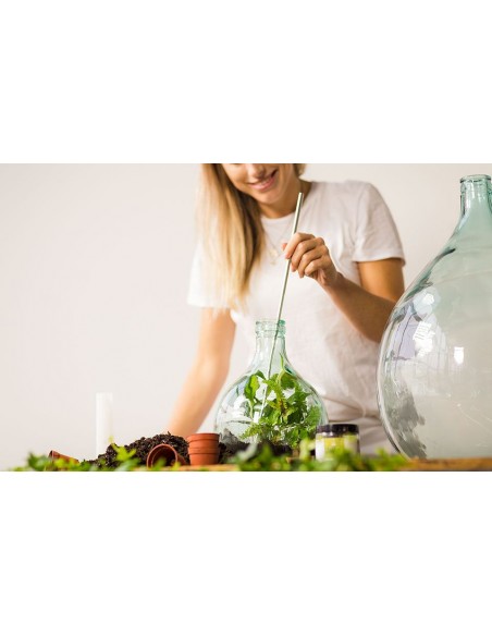 Bouteille terrarium 35L set Esschert Design Vase et verrie