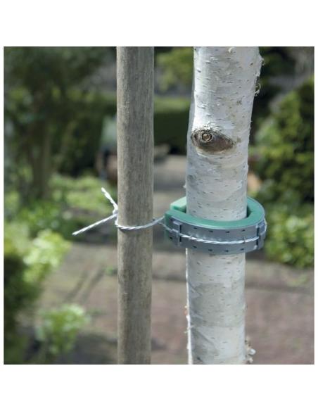 Collier mousse pour Arbre 60 cm Nortène Fixation et attache Collier mousse pour Arbre 60 cm Nortène Fixation et attache