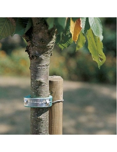 Collier mousse pour Arbre 60 cm Nortène Fixation et attache