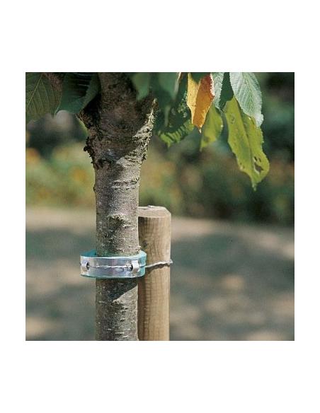 Collier mousse pour Arbre 60 cm Nortène Fixation et attache Collier mousse pour Arbre 60 cm Nortène Fixation et attache