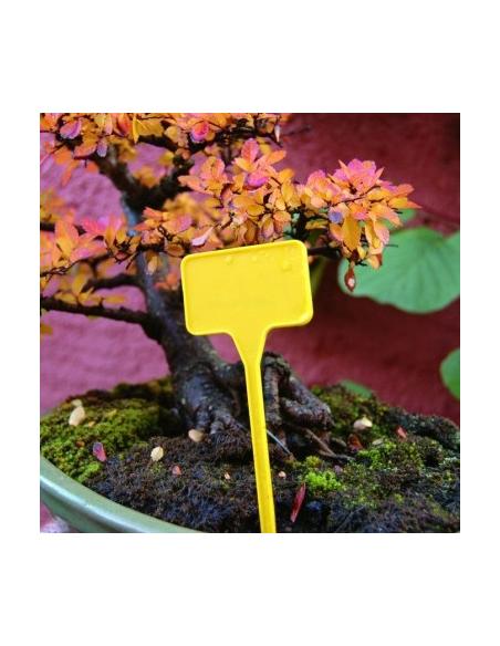 Etiquettes à planter Label 15 X 10 Nortène Matériel de Semis