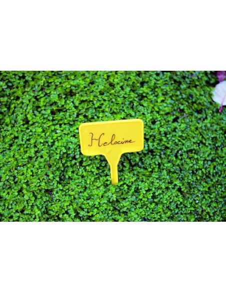 Etiquettes à planter Label 15 X 10 Nortène Matériel de Semis