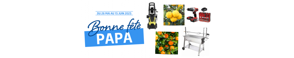 Fête des pères