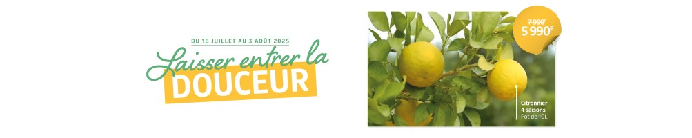 Laissez entrer la douceur