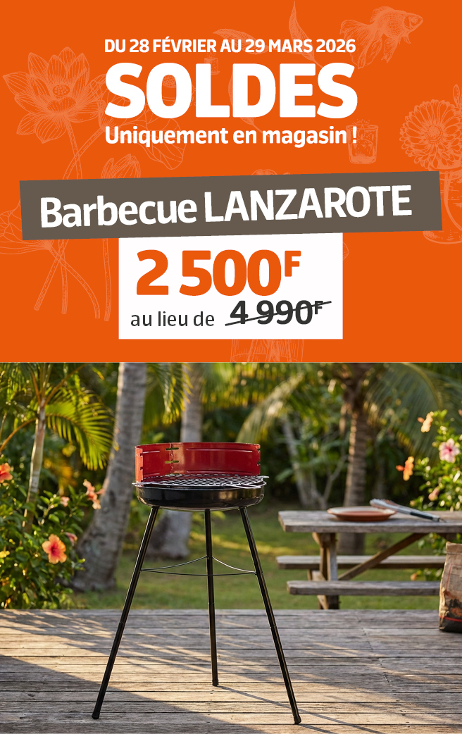 BBQ SOLDES MARS 2026
