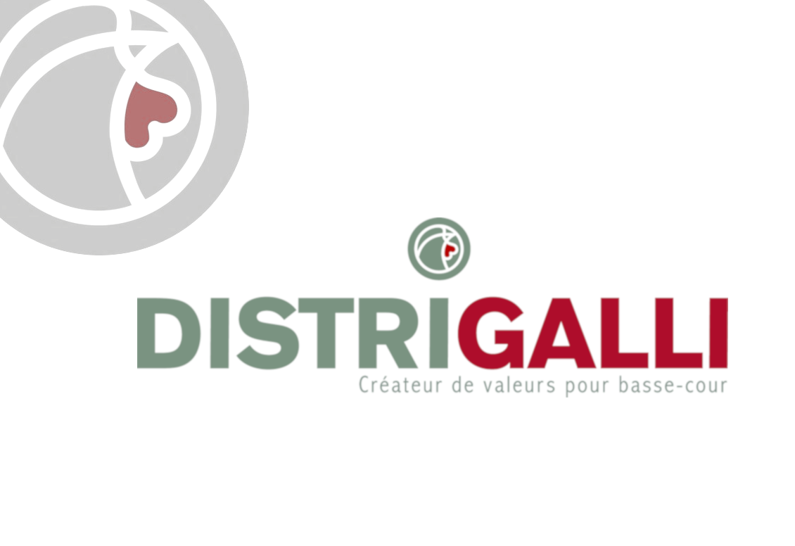 Distrigalli